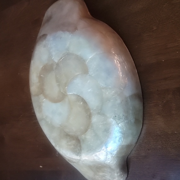 Tortoise Shell Dish - Picture 3 of 4